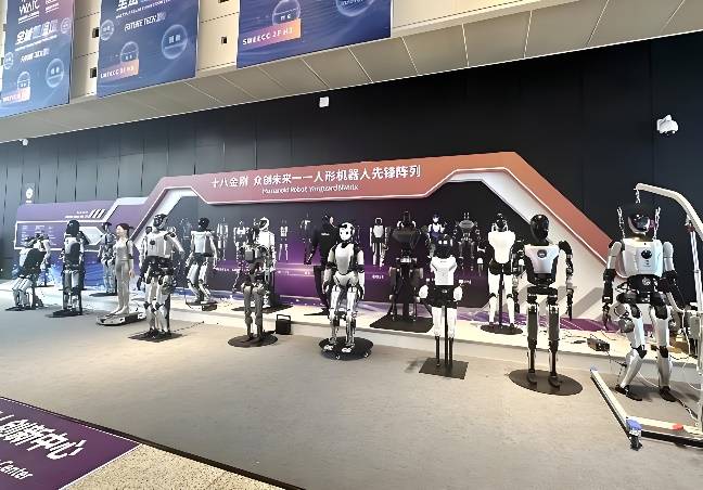 人形机器人发展应该回归“常识”，建立“共识”