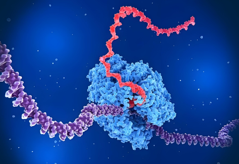 分子对接速度提升10,000倍，深度图学习加速RNA虚拟筛选，助力药物靶标发现