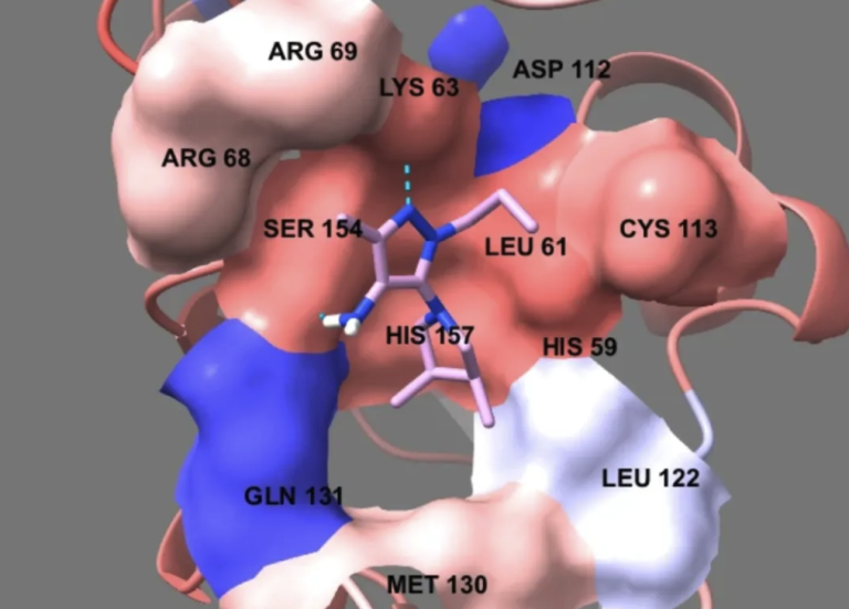 Nature子刊 | 预测完全未知的化合物-蛋白质相互作用：药物研发突破性新工具GraphBAN