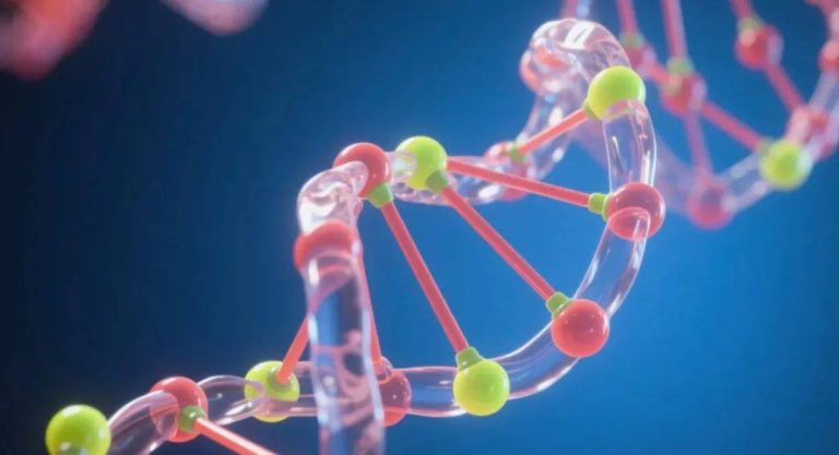Nature子刊 | 有效提升蛋白质折叠模式覆盖度，清华等使用全局几何感知潜在编码改进扩散模型