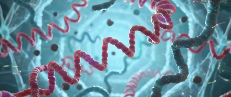 首个面向肽分子设计的大模型平台：直接「读序列」出结合子，无需结构输入即可生成