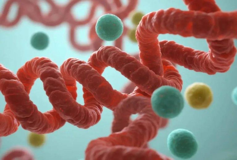 ACL 2025 | 湖南大学、腾讯生命科学实验室等提出蛋白互作预测新方法，让LLM学会解读蛋白质网络