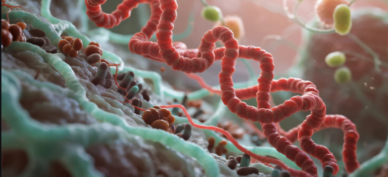 毒液抗菌搭配深度学习，千万级数据组中筛得386条备选，91.4%体外验证成功