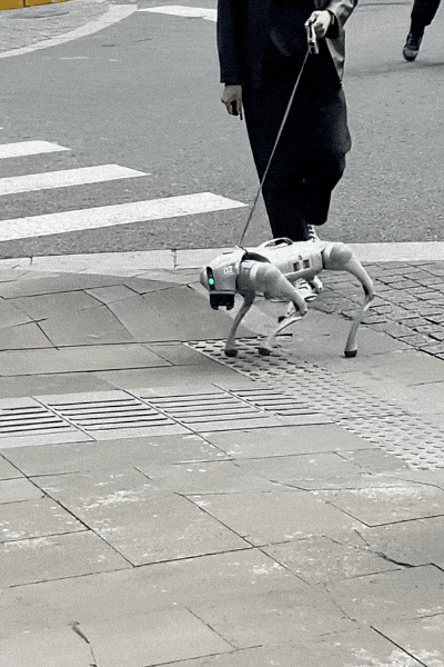 全球百万网友迷上赛博「养鱼」，我也被这群AI小丑鱼拿捏了